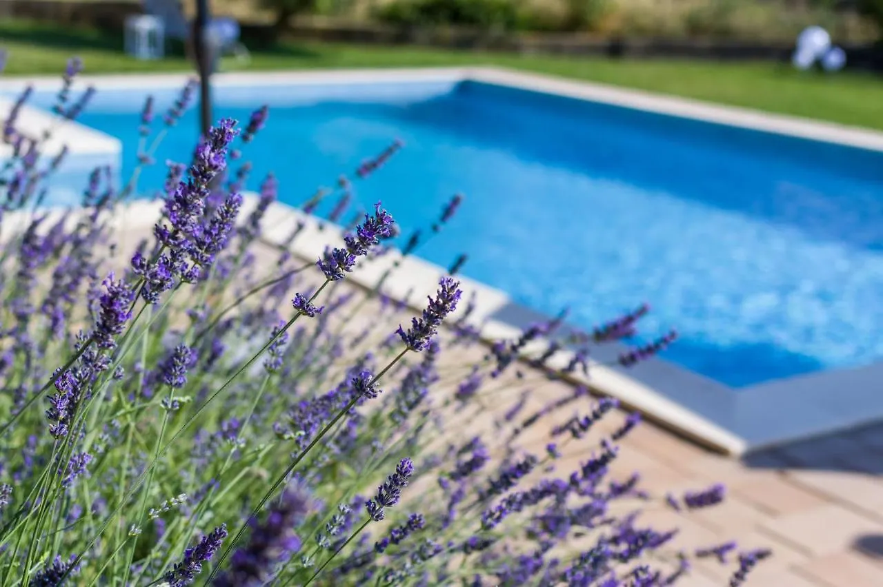 Apartment Alex 1 Zadar Croatia